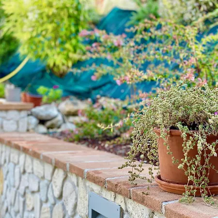 カントリーハウス Nocri - Privata Con Piscina & Sauna *