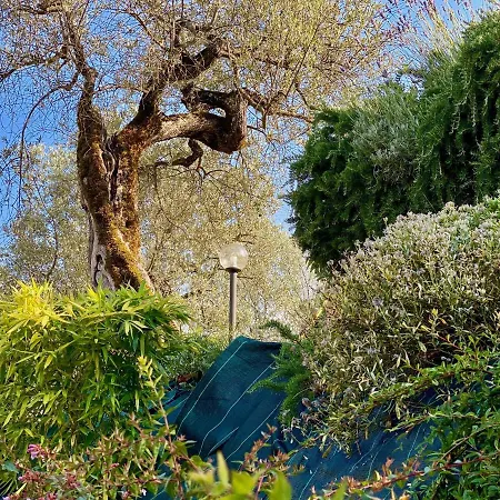 Nocri - Privata Con Piscina & Sauna Venkovský dům Montefranco