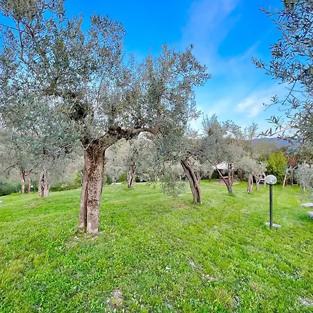 Villa Nocri - Oasi Wellness Con Piscina & Sauna Privata * Montefranco