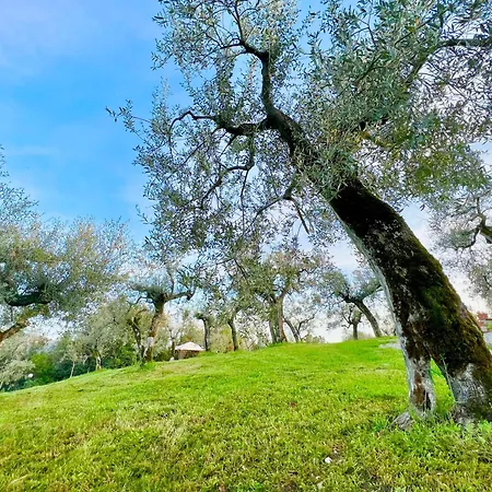 Nocri - Privata Con Piscina & Sauna *