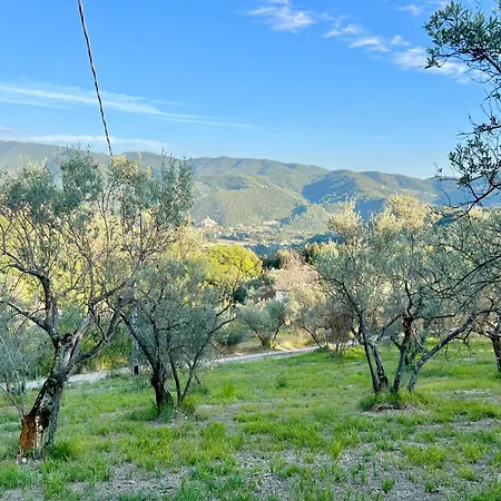 Nocri - Privata Con Piscina & Sauna カントリーハウス *