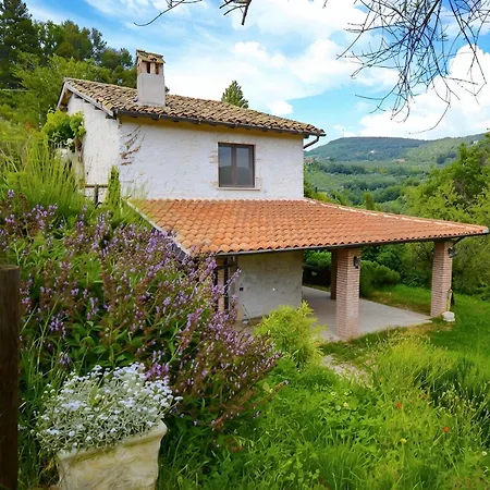 Nocri - Privata Con Piscina & Sauna *