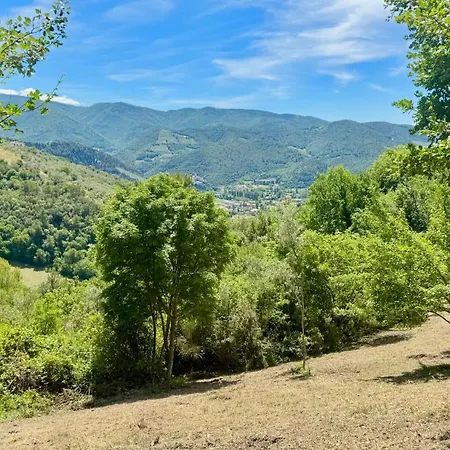 Villa Nocri - Oasi Wellness Con Piscina & Sauna Privata *