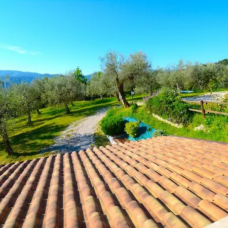 Villa Nocri - Oasi Wellness Con Piscina & Sauna Privata
