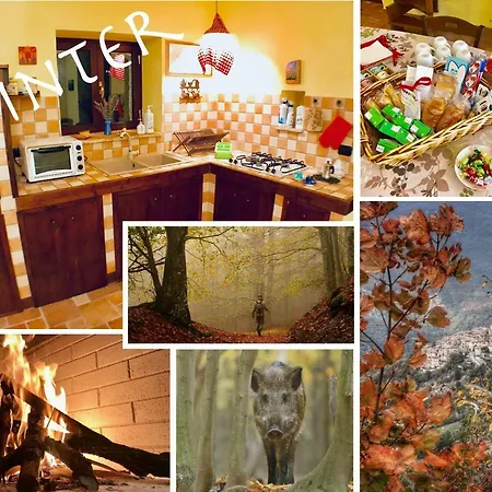 Nocri - Privata Con Piscina & Sauna Venkovský dům