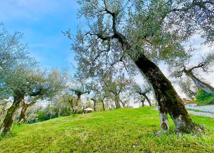 Nocri - Privata Con Piscina & Sauna *