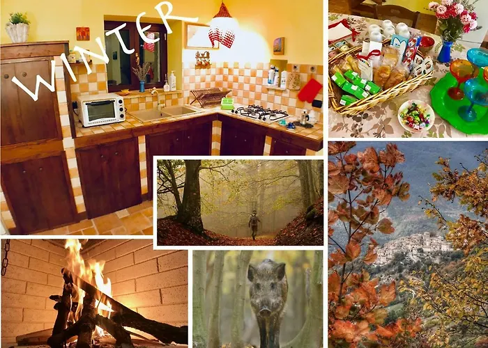 Nocri - Privata Con Piscina & Sauna Casa rural